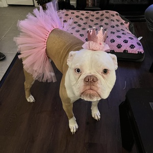 Fundraising Page: Samantha Wendell